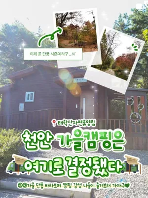 천안잇츠 게시물